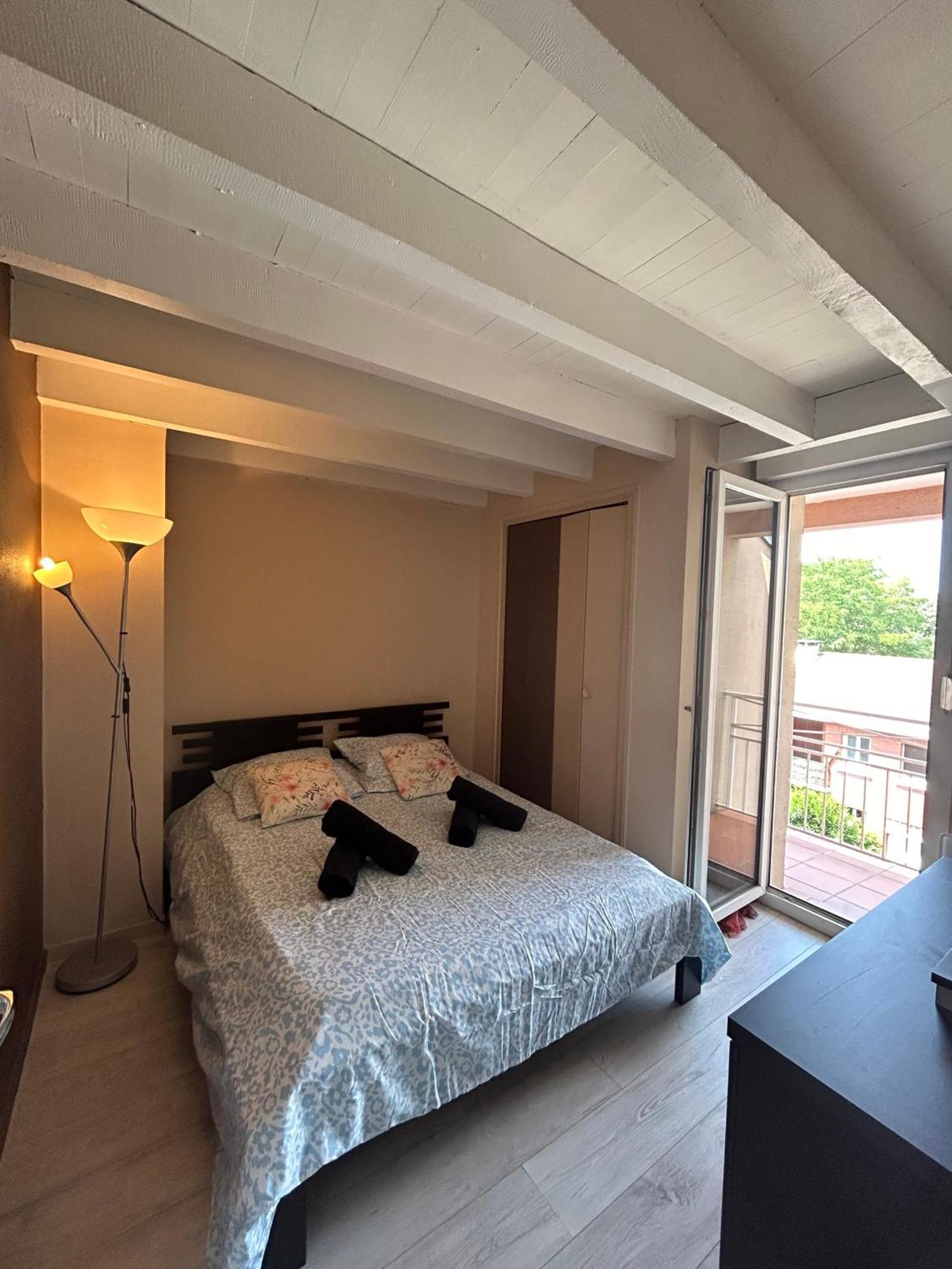 Le Venasque Avec Terrasse - Climatisation Apartment ตูลูส ภายนอก รูปภาพ
