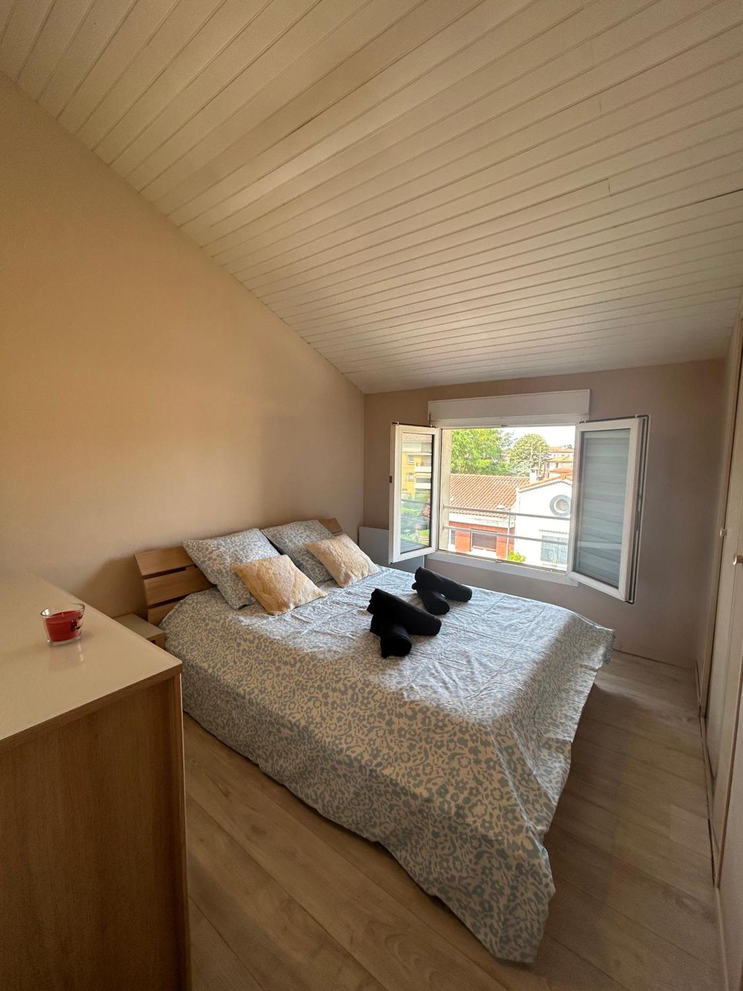 Le Venasque Avec Terrasse - Climatisation Apartment ตูลูส ภายนอก รูปภาพ
